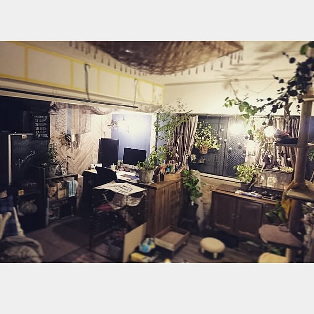 Kazukiさんの実例写真