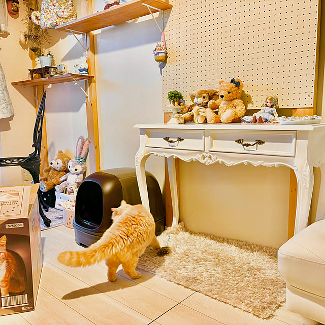 naokoさんの部屋