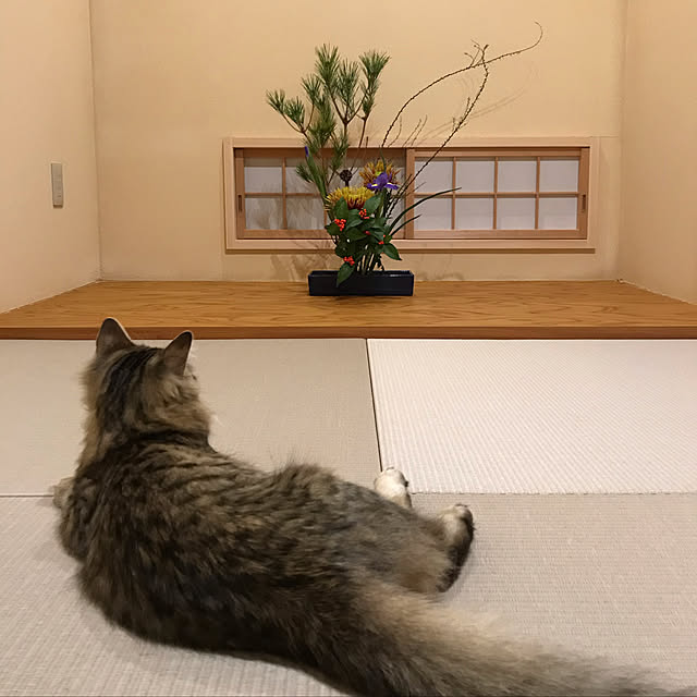 manew714さんの実例写真