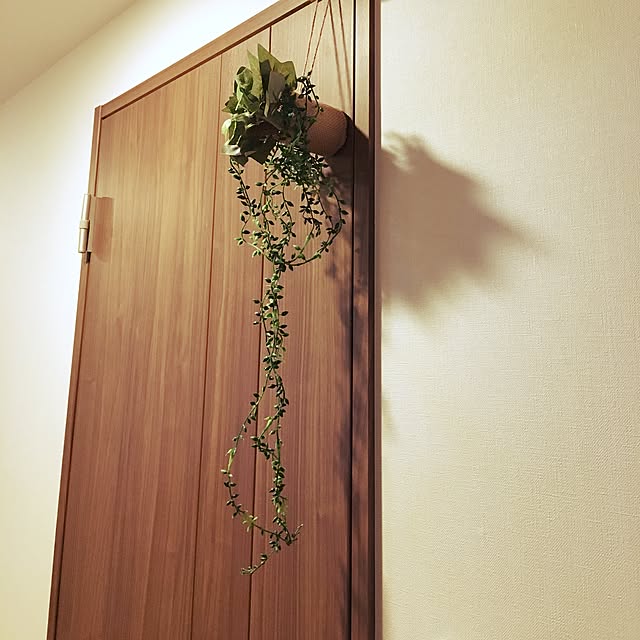 nonchiさんの実例写真