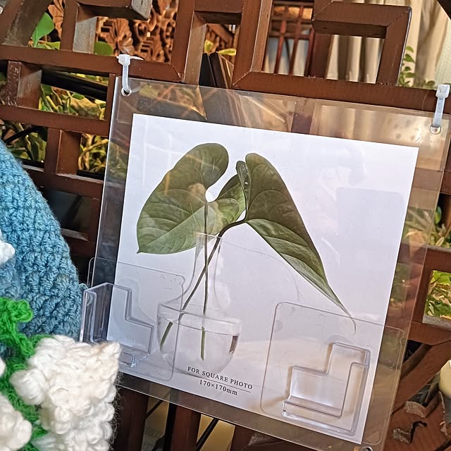 suzuneeさんの実例写真