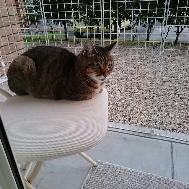 lilyさんの実例写真