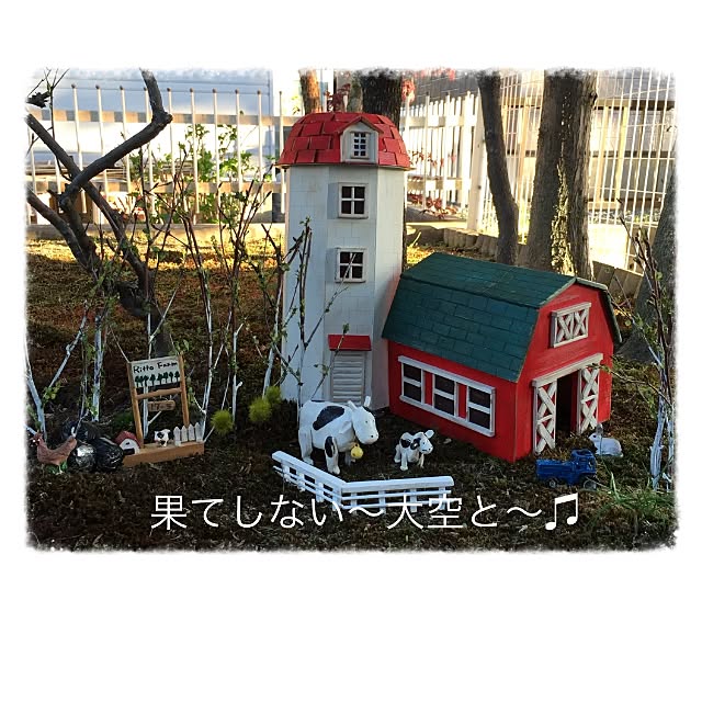norinori0605さんの実例写真