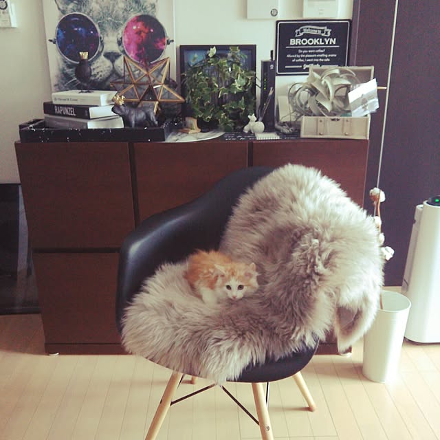 nao0219さんの実例写真
