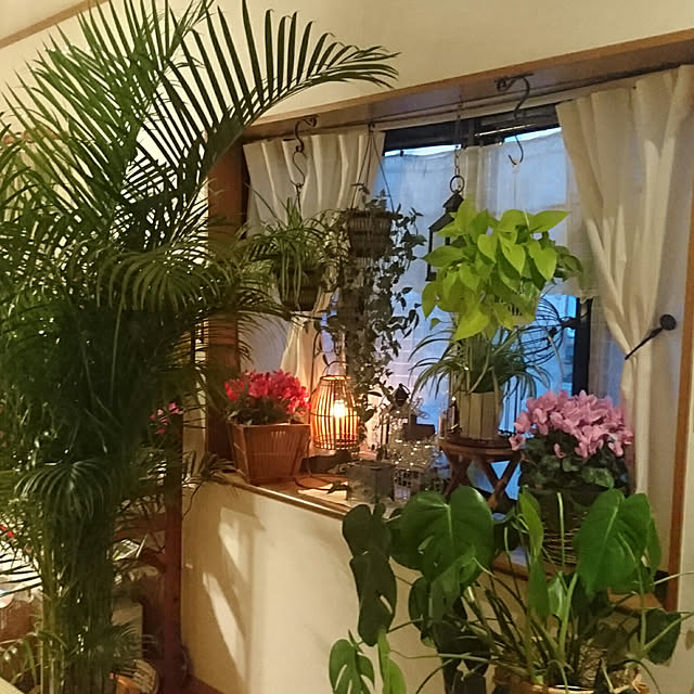 Abbyさんの実例写真