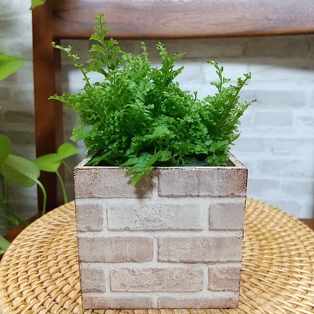 meiさんの部屋
