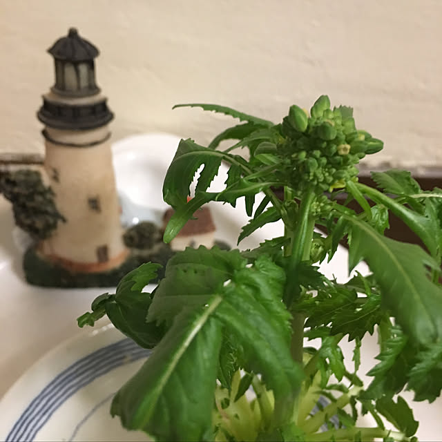 frostyさんの実例写真