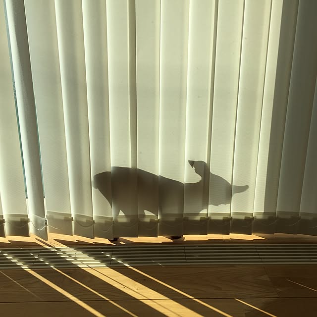 yoshikoさんの実例写真