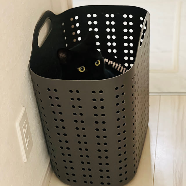 nyaakoさんの部屋