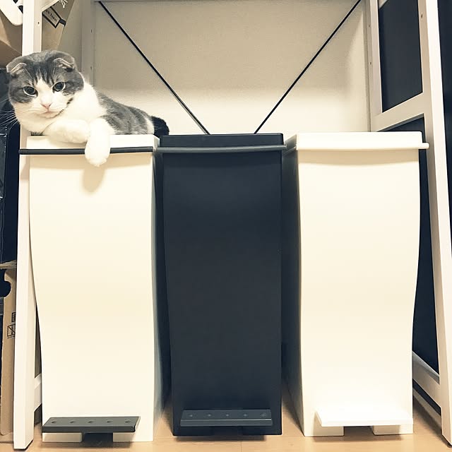 tansukeさんの実例写真