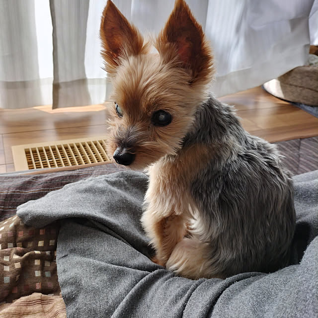 coco0.84.さんの実例写真