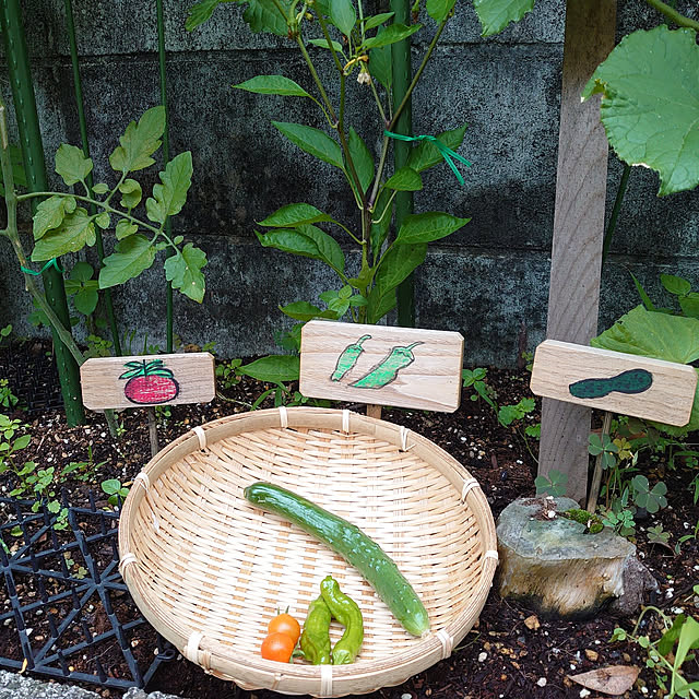 fukuさんの実例写真