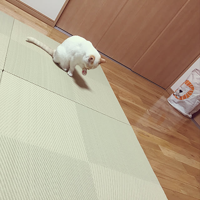 t.tさんの実例写真