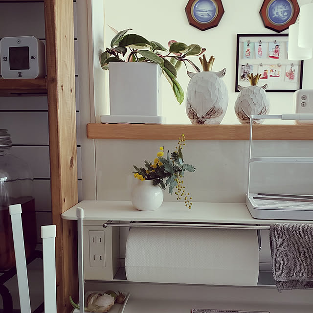 naoさんの実例写真