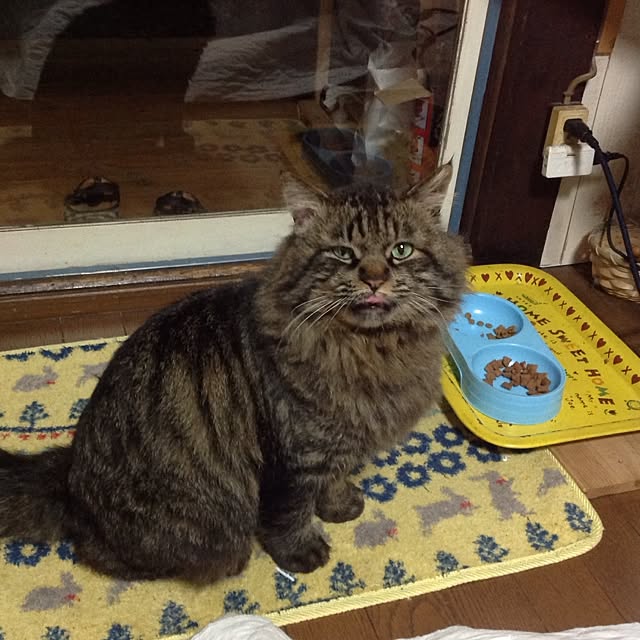jimipurinさんの実例写真