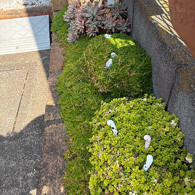 nannoさんの実例写真