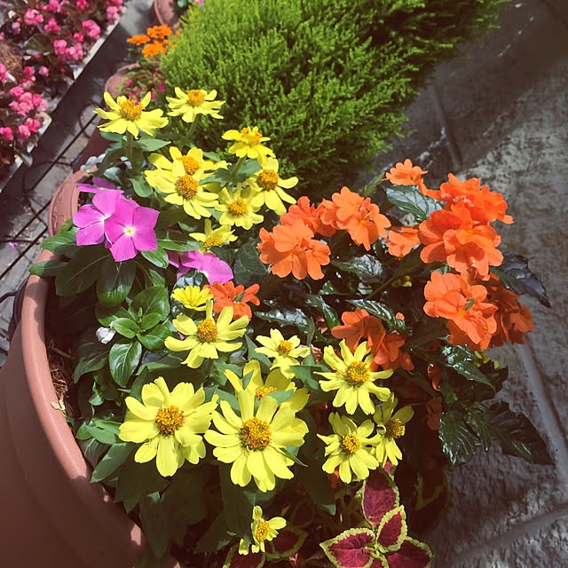 chikaramosさんの実例写真