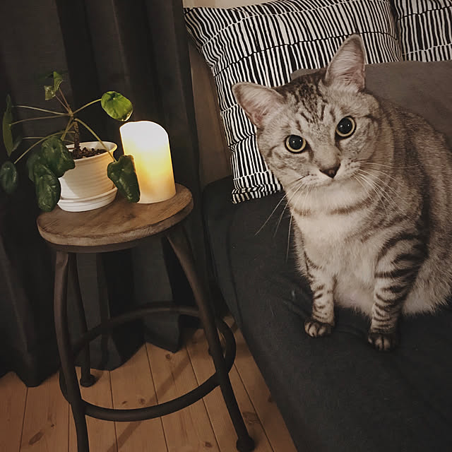 ineko_kさんの実例写真