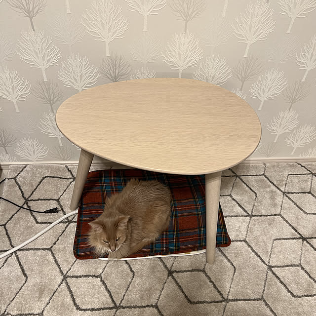 mofucatさんの実例写真