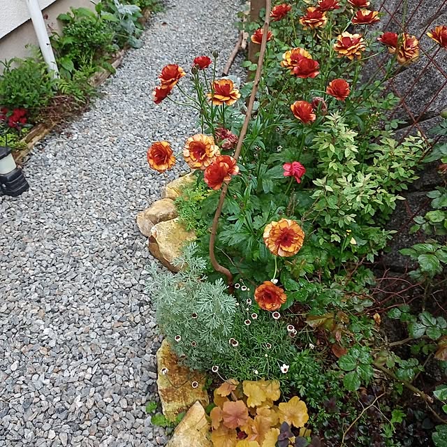 brooklynさんの実例写真