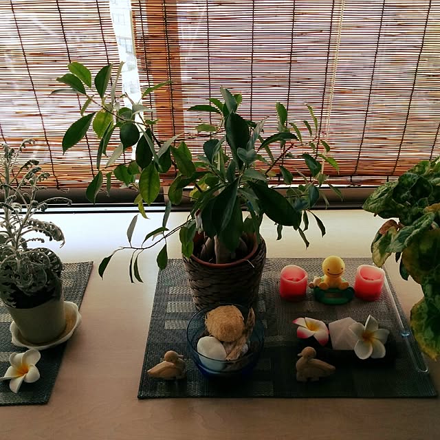 rascal1003さんの実例写真