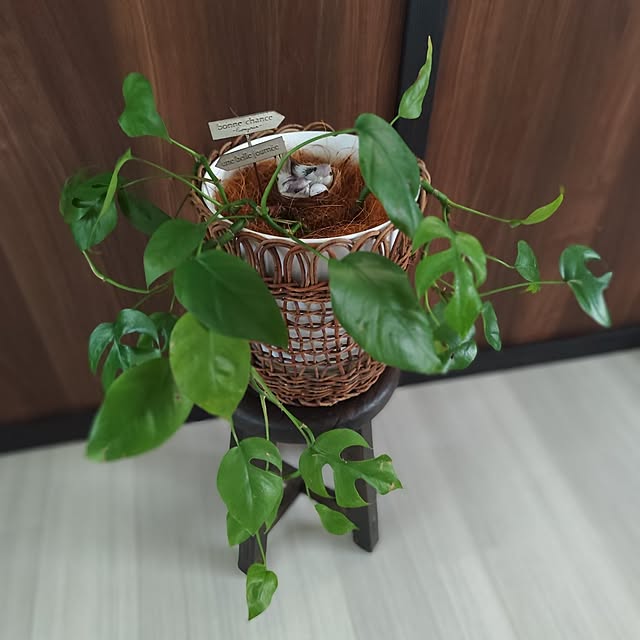 krmmk.lovekuraraさんの実例写真