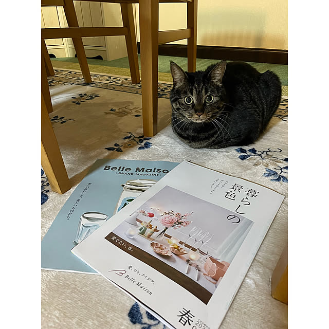 momocchiさんの部屋