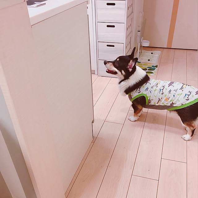 mashiroさんの実例写真