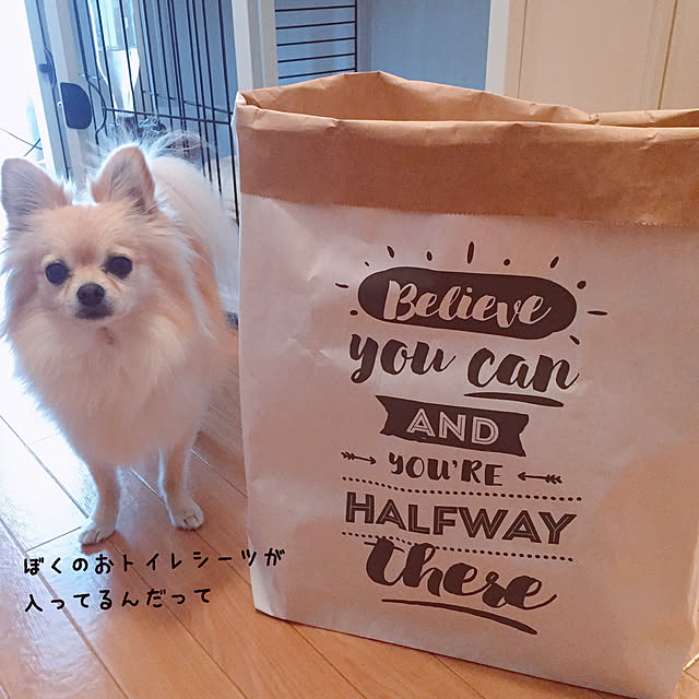 noncaさんの実例写真
