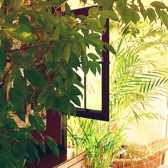 Claraさんの実例写真