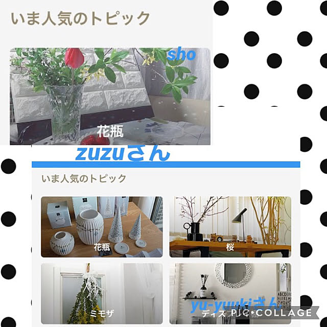 shoさんの実例写真