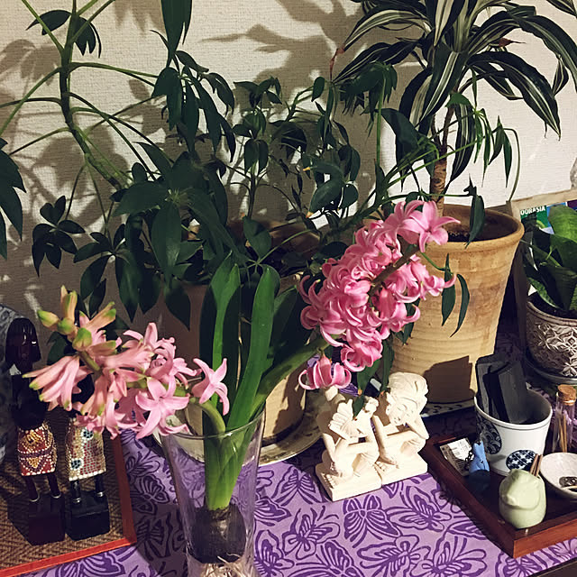 tomonon0812さんの実例写真