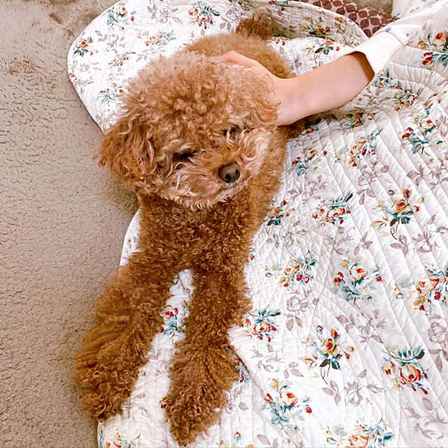ribbonさんの実例写真