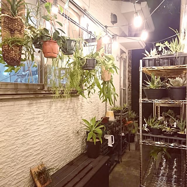 ot-gardenさんの部屋