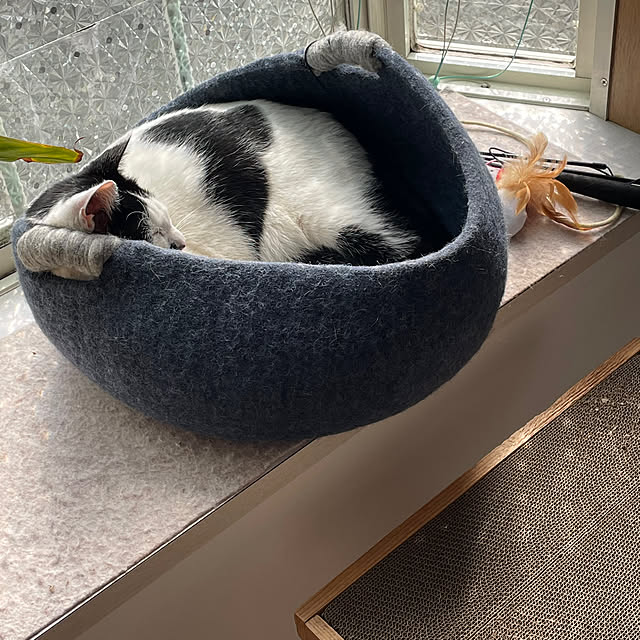 nobikoさんの部屋