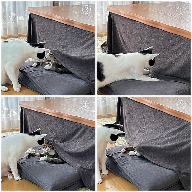 nobikoさんの実例写真