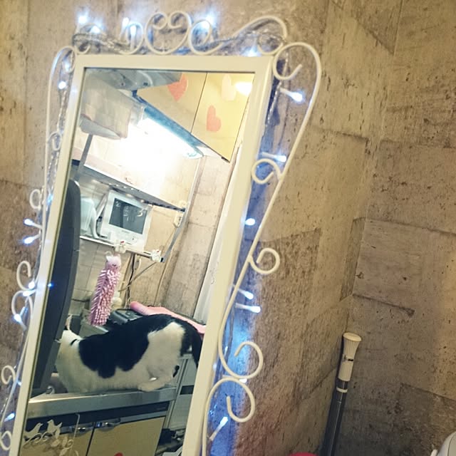 fu-ka24さんの実例写真