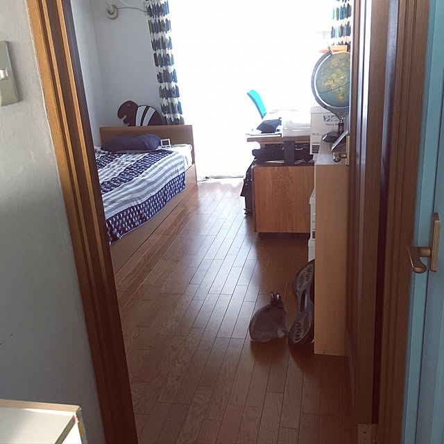 passhonさんの実例写真