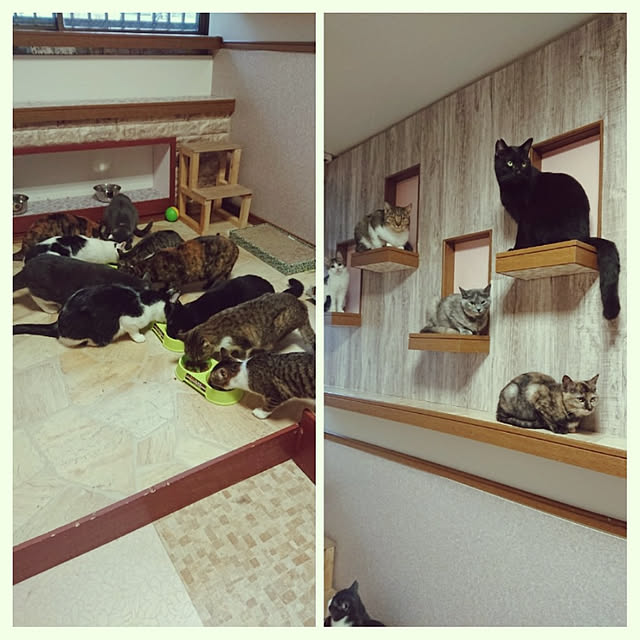 taka-kiさんの実例写真