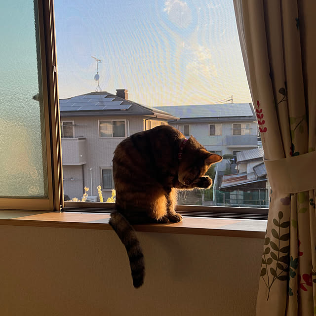 chiiさんの部屋