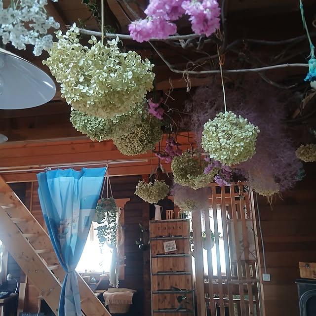 murasaki808さんの部屋