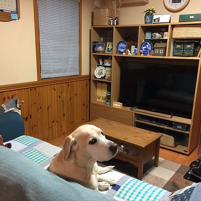 mellownoaさんの実例写真