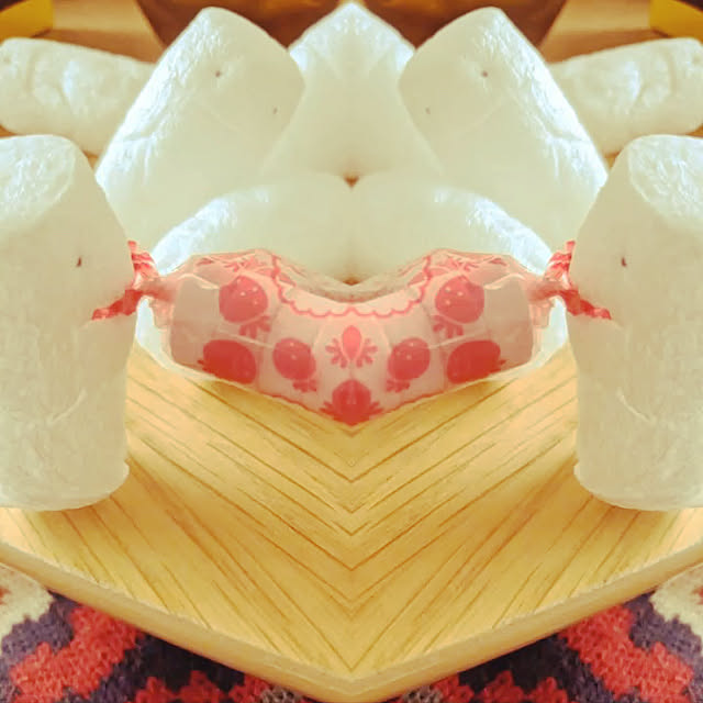 sudoncoさんの実例写真