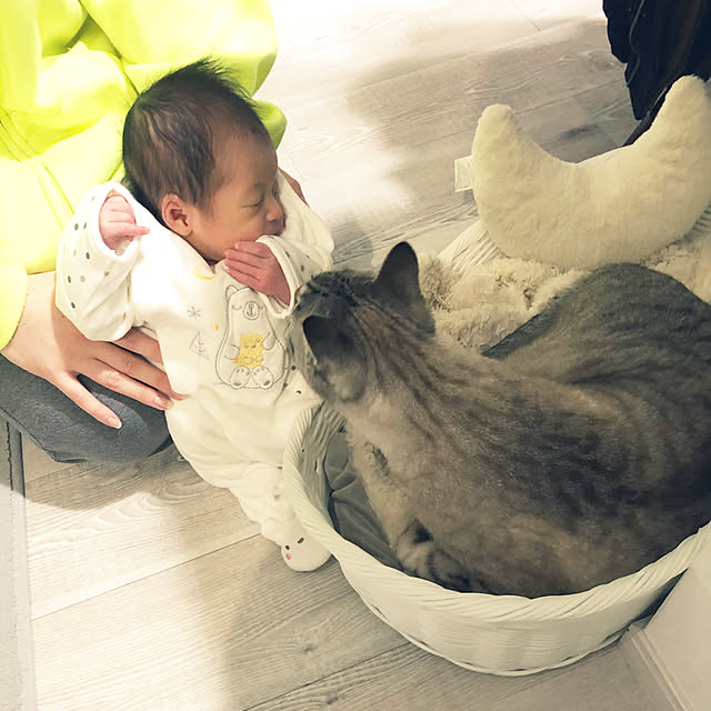 mieさんの実例写真