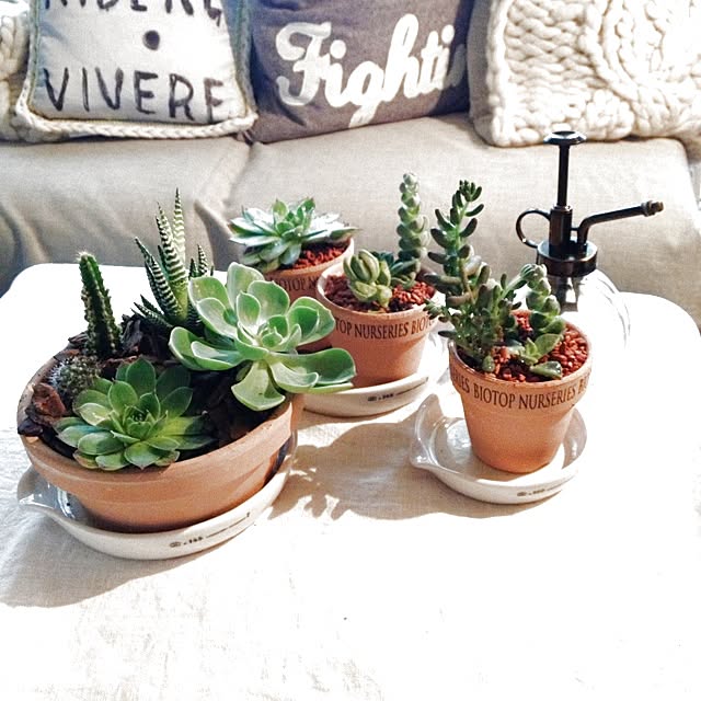 shinobunさんの実例写真