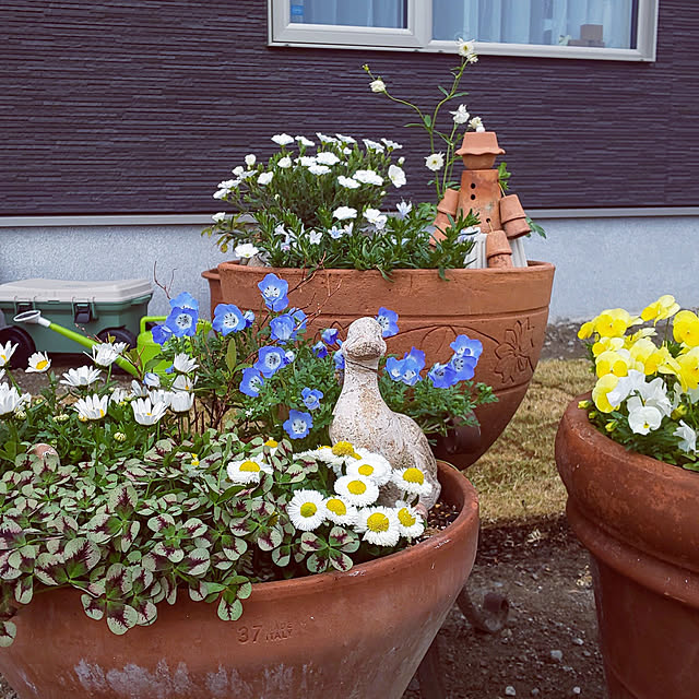 JUDYさんの実例写真
