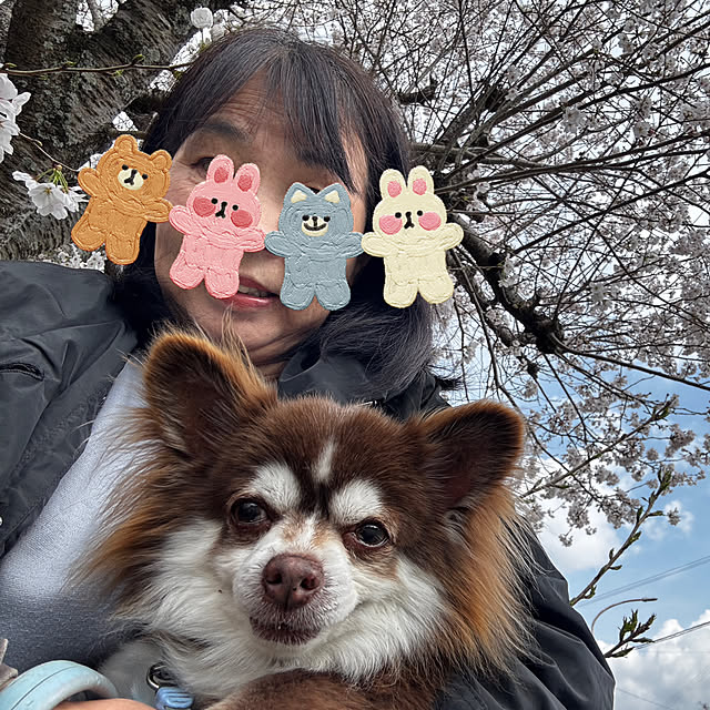 chIoeさんの部屋