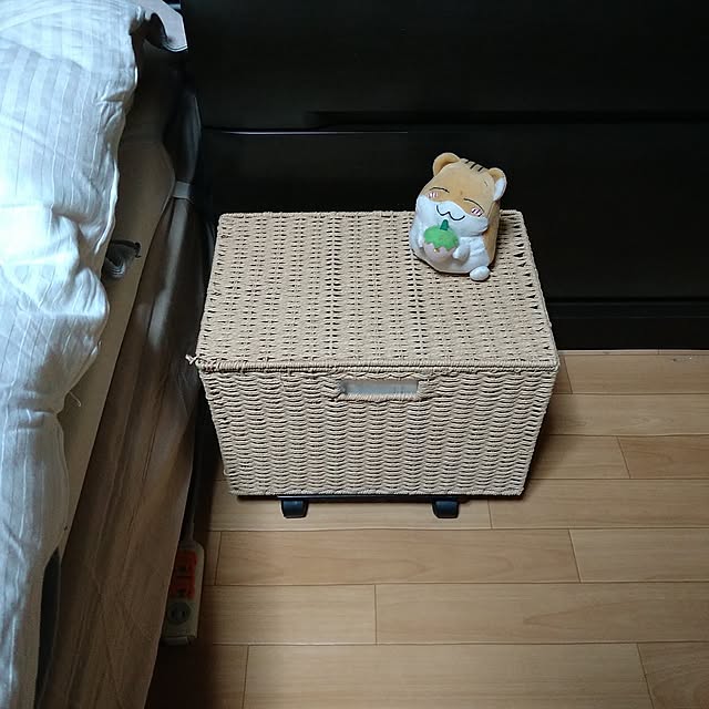 ameamekaasanさんの実例写真