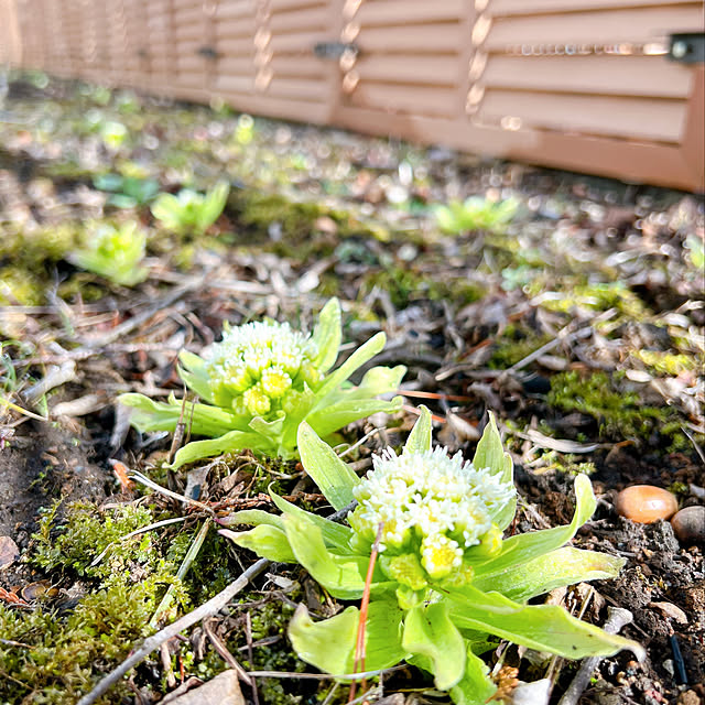 chanduさんの実例写真