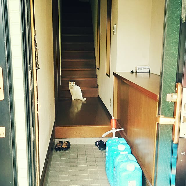 DrySourceさんの実例写真